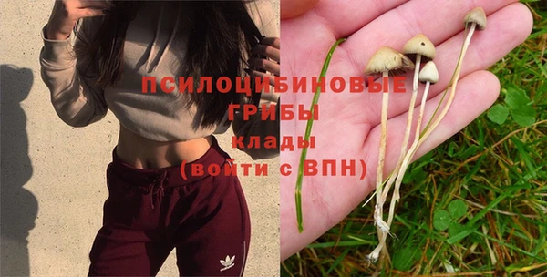 марихуана Зуевка