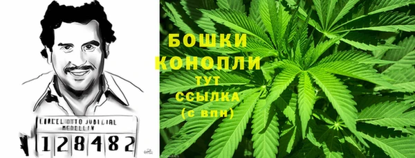 apvp Ивангород