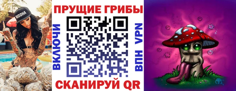 Псилоцибиновые грибы GOLDEN TEACHER  дарк нет как зайти  Татарск 